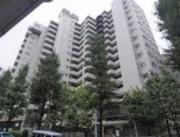 新池田山マンション