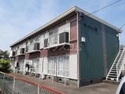グレイシー西島