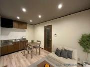 DUPLEX IZUMI