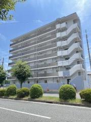 IL VIALE