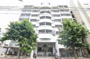 アルファ枝川