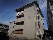ビートル山本北