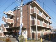 グレイス渋谷
