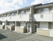 グランドール柿の木