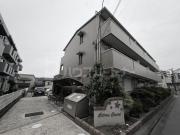 シトラスコート