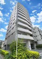 都営大江戸線若松河田駅まで徒歩3分