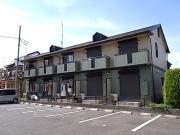 コート樹の風I