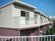 ボンエルフ丸子