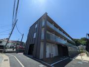 HY′s NOBORITO BLOSSOM