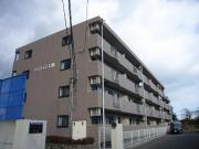 マンション大橋