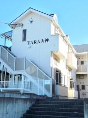 SE TARA天神