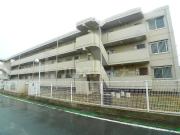 大金平ハイツ