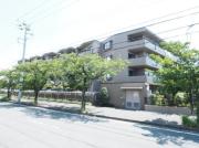 アルファグランデ浦安舞浜