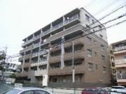 エンシェント山荘通り