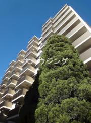 プライマル大井仙台坂