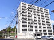 アルト カッシーナ