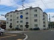 美園マンション2号棟