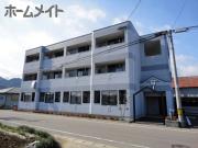サンクセラー605