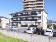 SUN WAKAYAMA