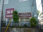 黒田薬局SKIIビル
