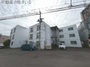アルティミス澄川