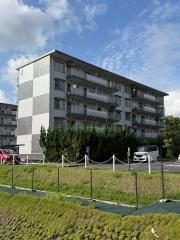 緑苑東団地4棟