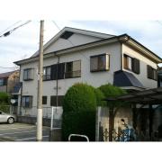 チェリー深沢