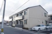 ウィル桑野