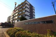 T-one MIYAHARA