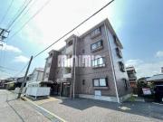 SEASONCOURT KASHIHARACHO