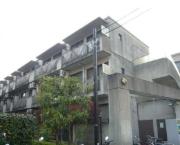 T′s garden HIKAWADAIII