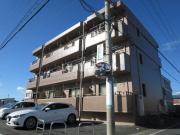 アバンダント初生