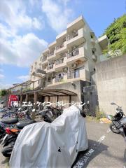 ホワイトウイング左入