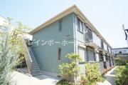 Ohana Hare C