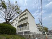 白川台ハイツ7号棟