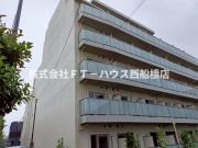 Alivis原木中山