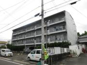ゆとり204