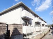 サイエンス