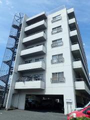 グレーシル鷹取