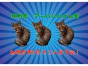 アーバンハイム東