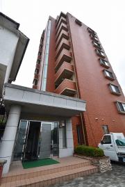 ティニーMatsuyama
