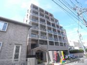 ペスカデリア大楠