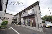 ソルクバード