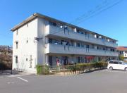 ウィルモア本町 D棟