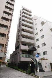 スカイノブレ川崎柳町