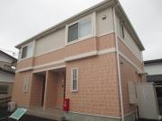 サンセベリアII