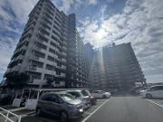 ネオハイツ姫路アメティ228