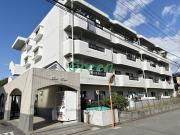 フラットハガ