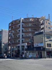 GATO D.M北山