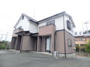 セラ天の峯B